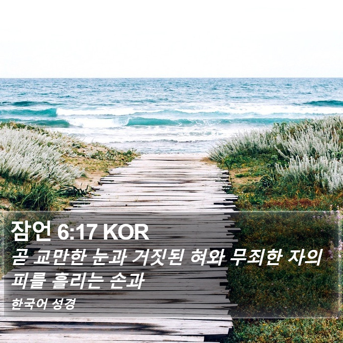 잠언 6:17 KOR Bible Study