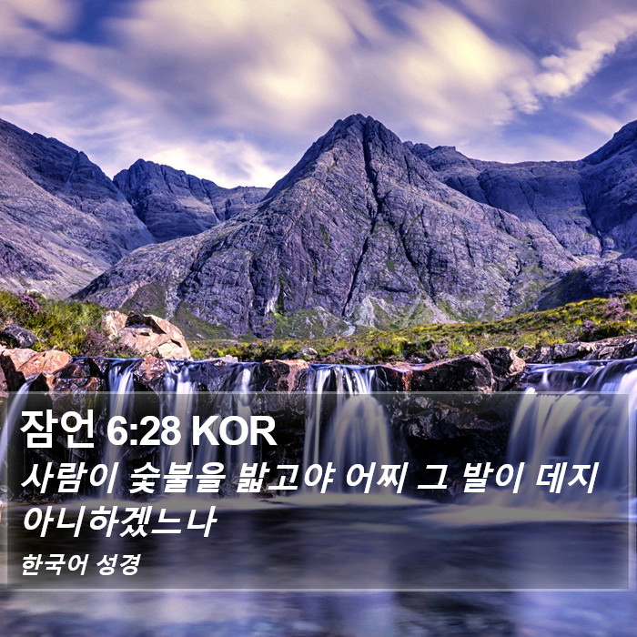 잠언 6:28 KOR Bible Study