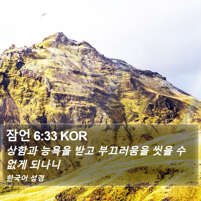 잠언 6:33 KOR Bible Study