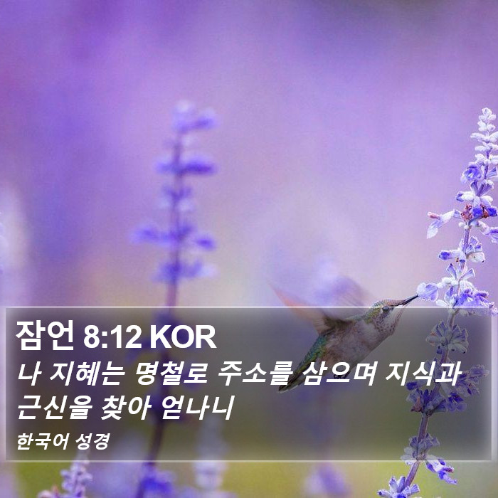 잠언 8:12 KOR Bible Study