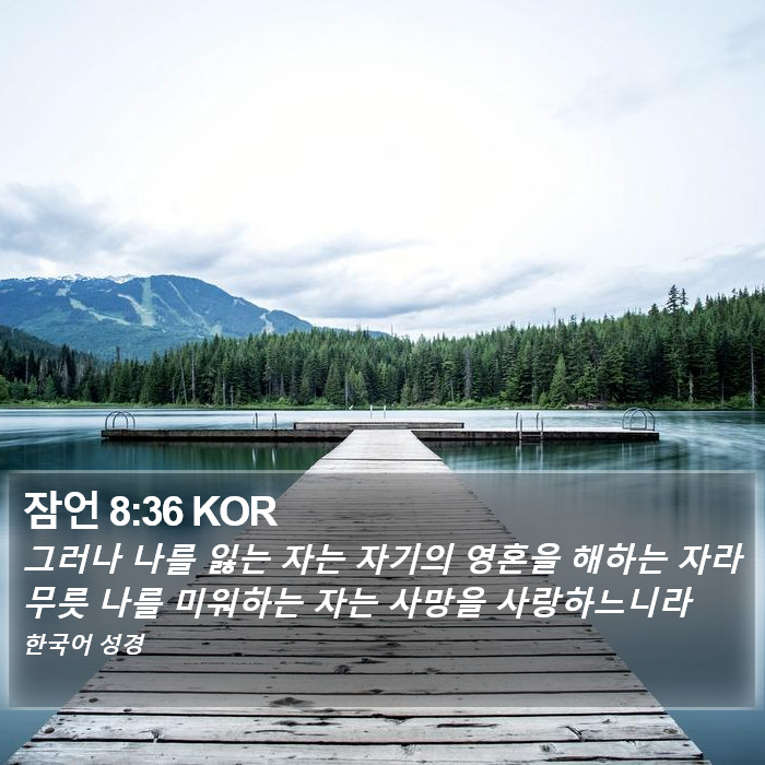 잠언 8:36 KOR Bible Study