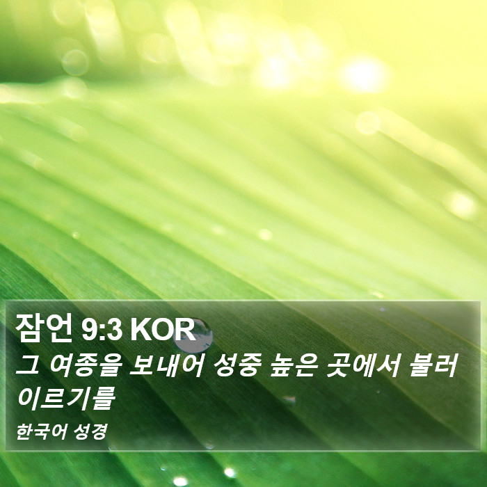 잠언 9:3 KOR Bible Study