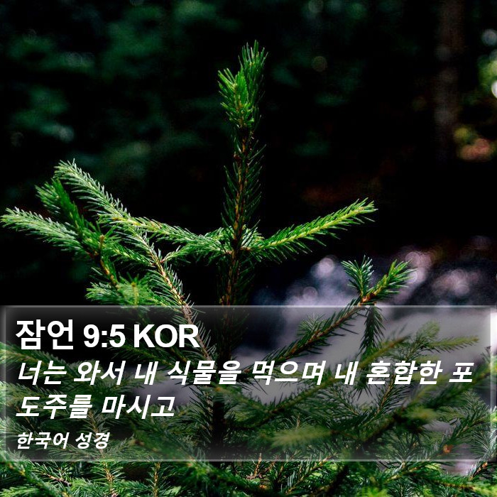 잠언 9:5 KOR Bible Study