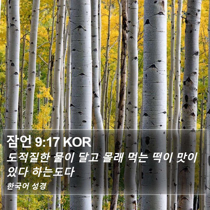 잠언 9:17 KOR Bible Study