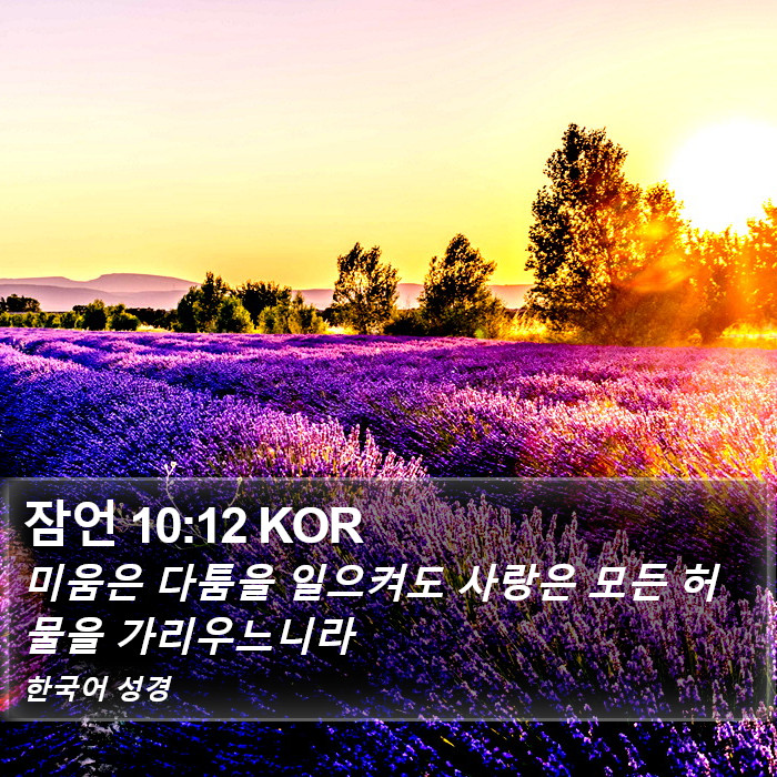 잠언 10:12 KOR Bible Study