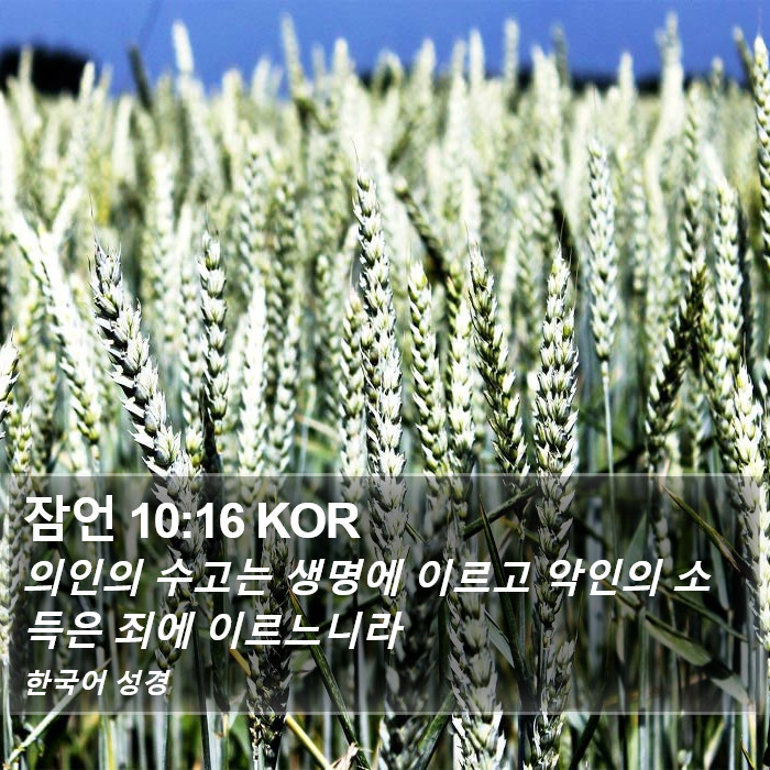 잠언 10:16 KOR Bible Study