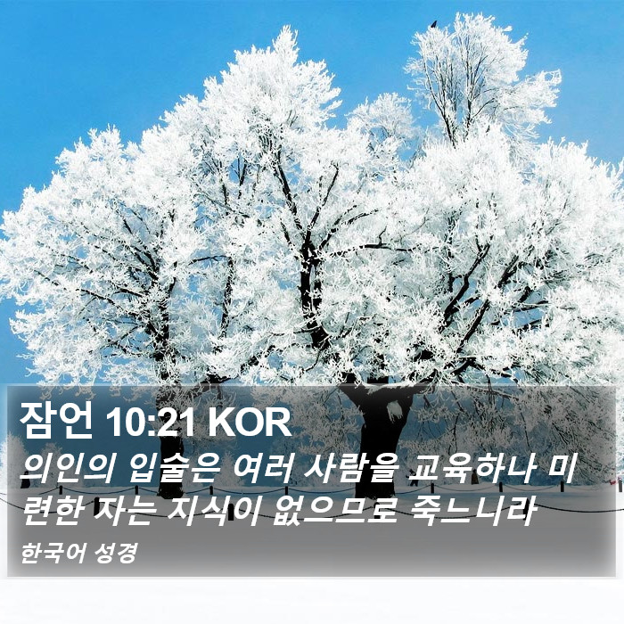 잠언 10:21 KOR Bible Study