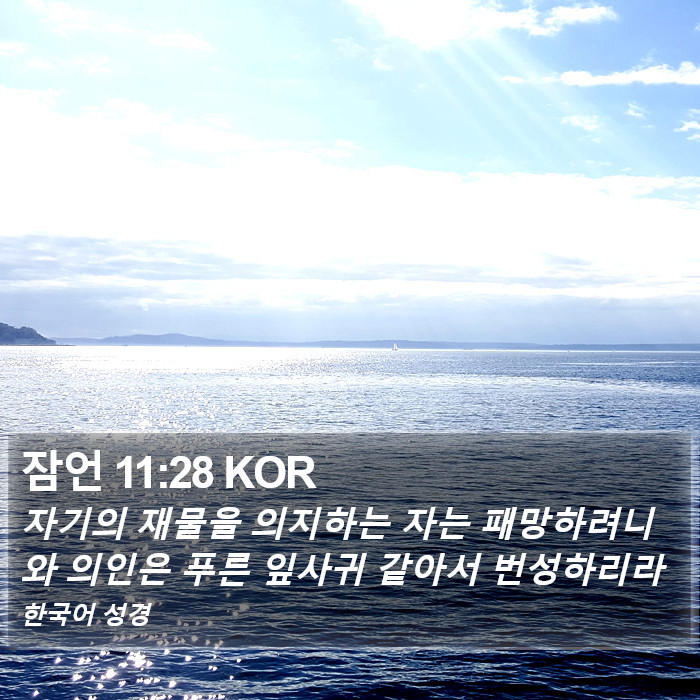 잠언 11:28 KOR Bible Study