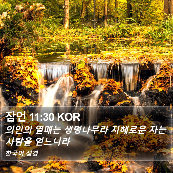 잠언 11:30 KOR Bible Study