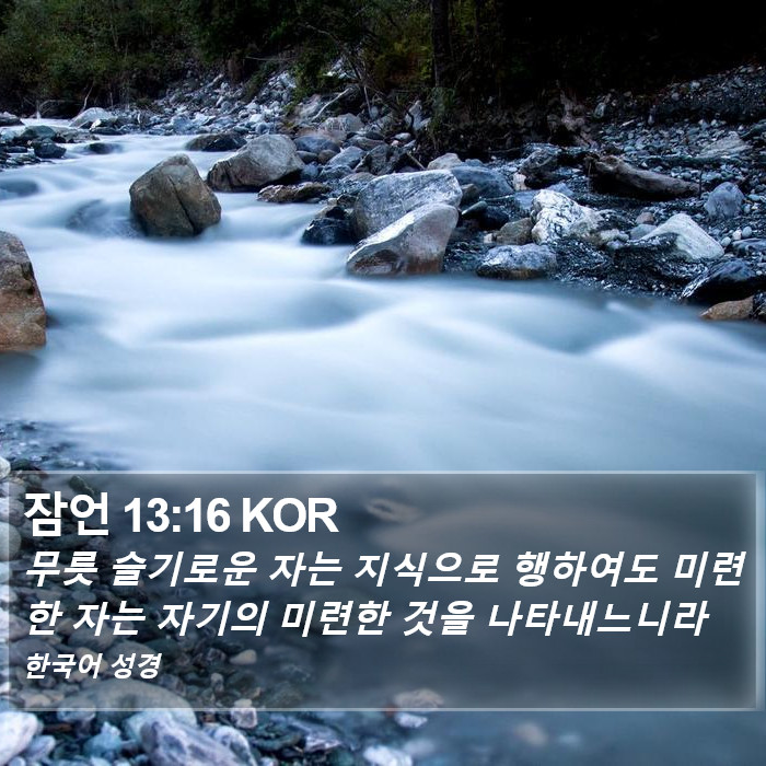 잠언 13:16 KOR Bible Study