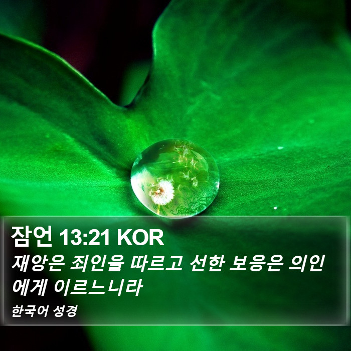 잠언 13:21 KOR Bible Study