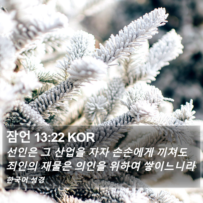 잠언 13:22 KOR Bible Study