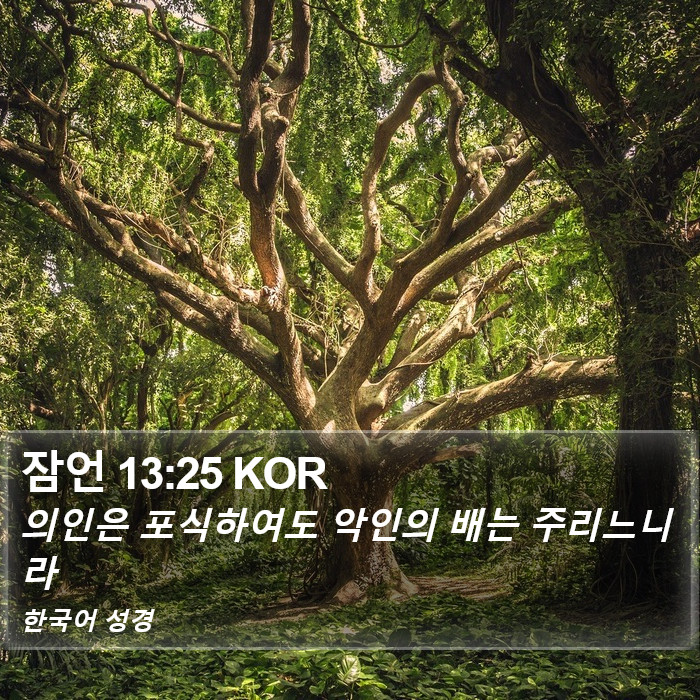 잠언 13:25 KOR Bible Study