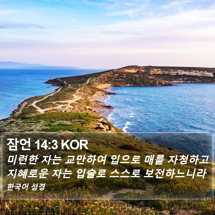 잠언 14:3 KOR Bible Study