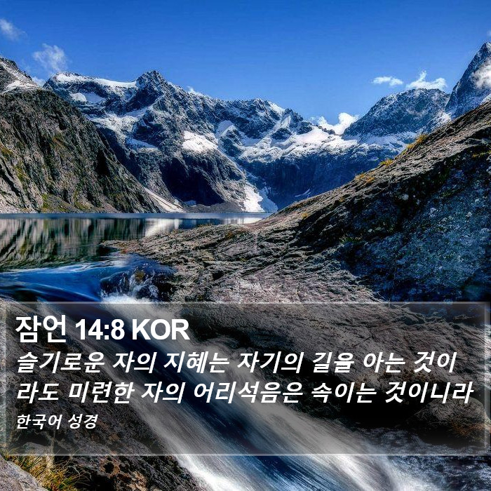 잠언 14:8 KOR Bible Study