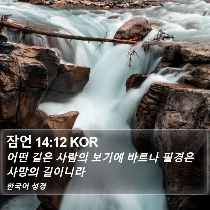 잠언 14:12 KOR Bible Study