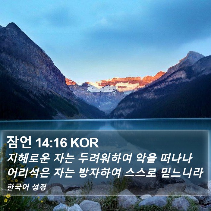 잠언 14:16 KOR Bible Study