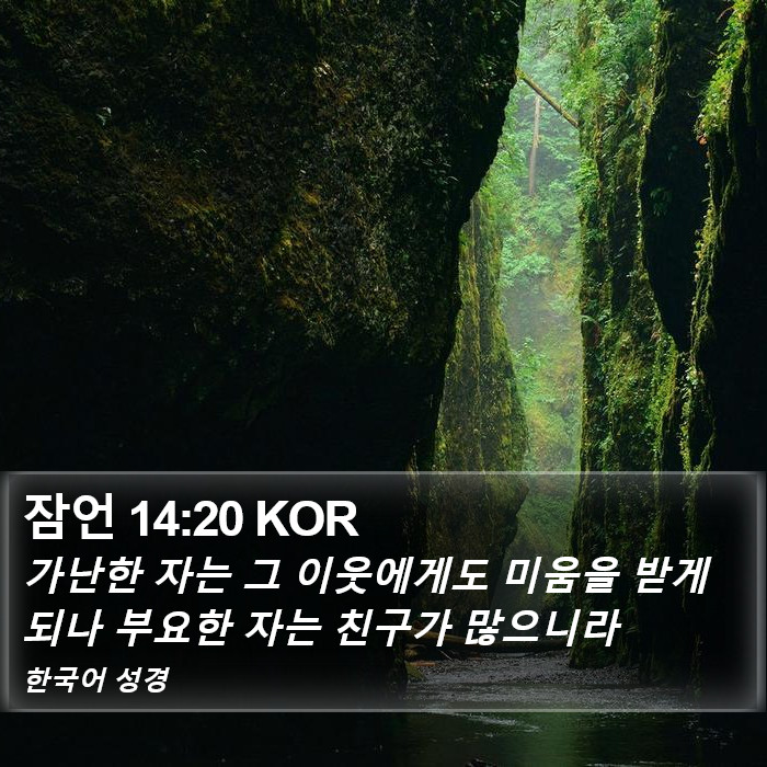 잠언 14:20 KOR Bible Study