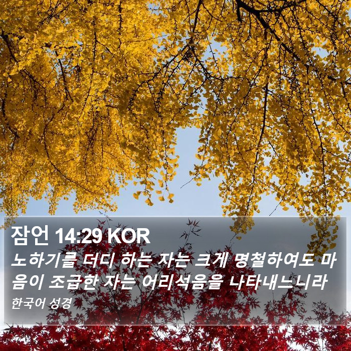 잠언 14:29 KOR Bible Study