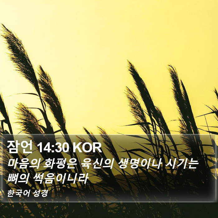 잠언 14:30 KOR Bible Study