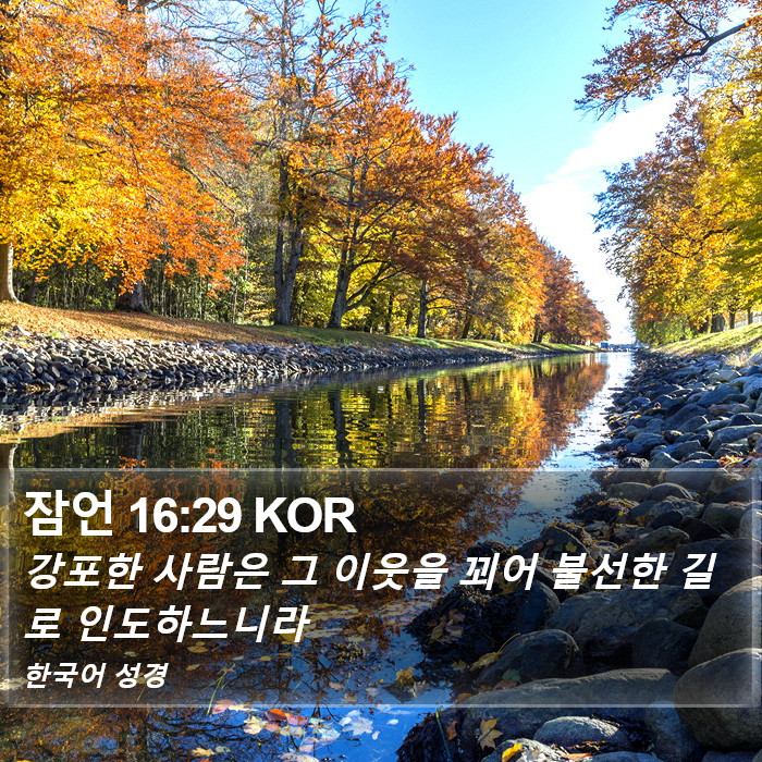 잠언 16:29 KOR Bible Study