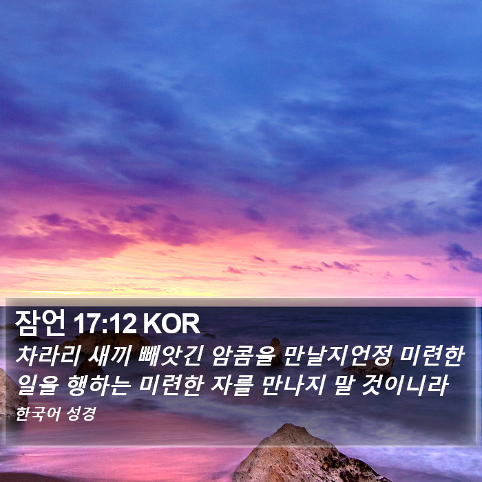 잠언 17:12 KOR Bible Study