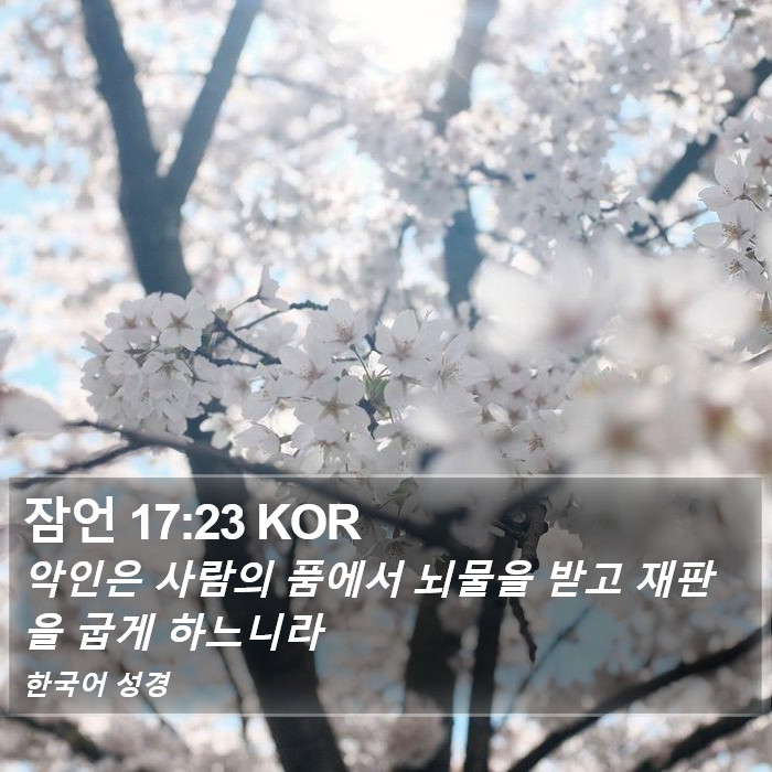 잠언 17:23 KOR Bible Study