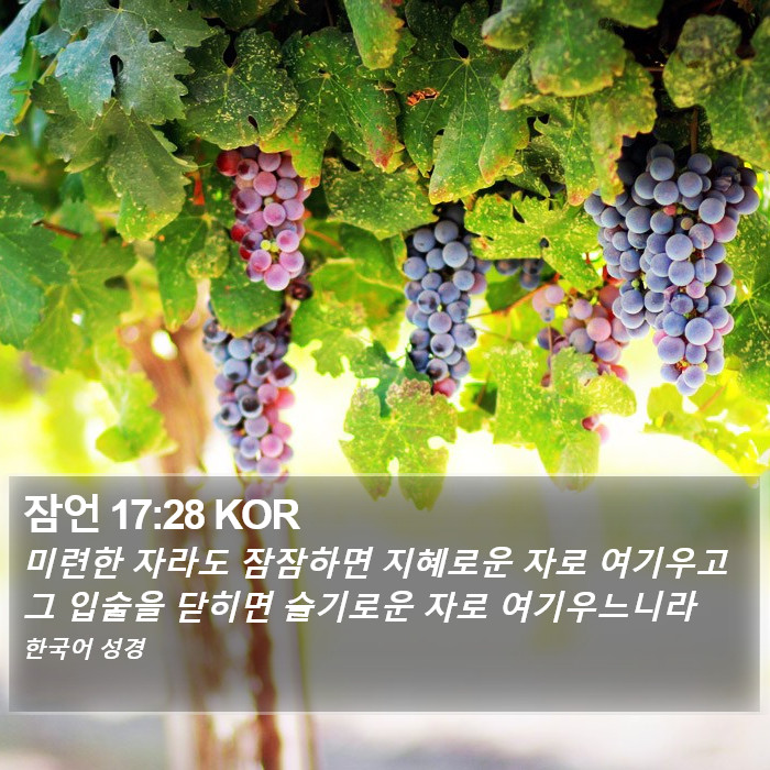 잠언 17:28 KOR Bible Study