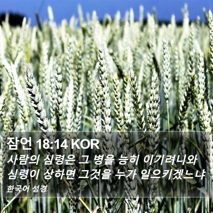 잠언 18:14 KOR Bible Study