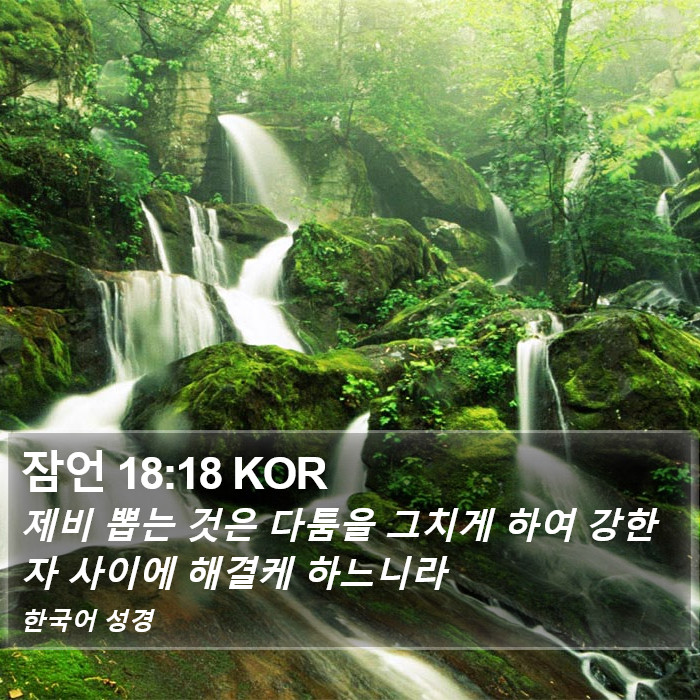 잠언 18:18 KOR Bible Study