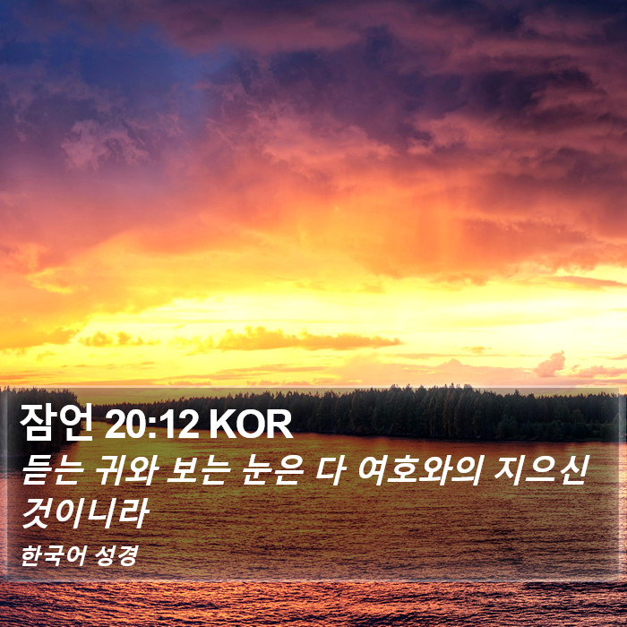 잠언 20:12 KOR Bible Study