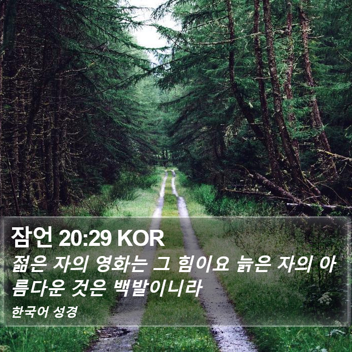 잠언 20:29 KOR Bible Study
