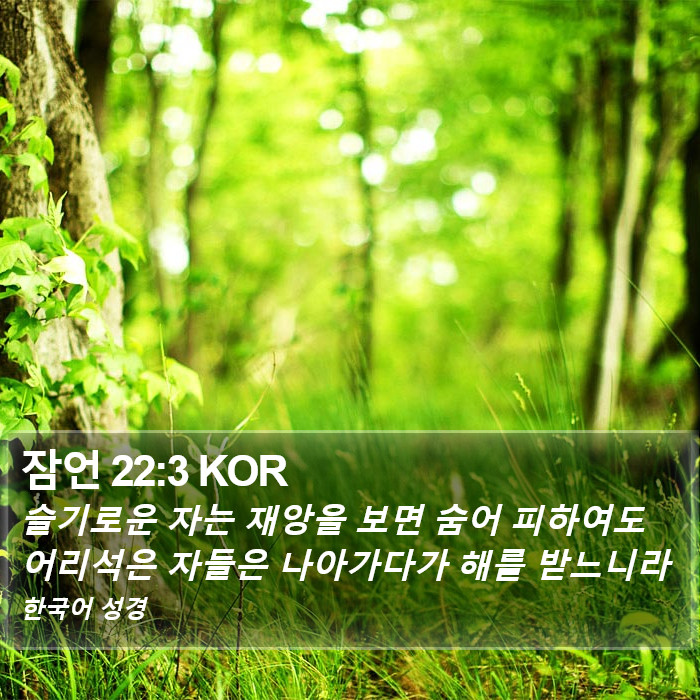 잠언 22:3 KOR Bible Study