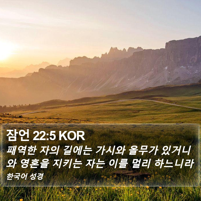 잠언 22:5 KOR Bible Study