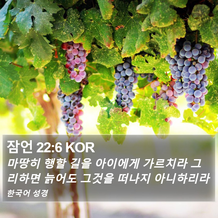 잠언 22:6 KOR Bible Study