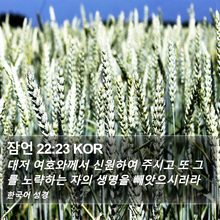 잠언 22:23 KOR Bible Study