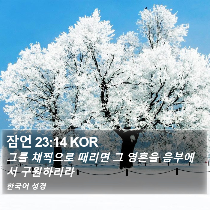 잠언 23:14 KOR Bible Study
