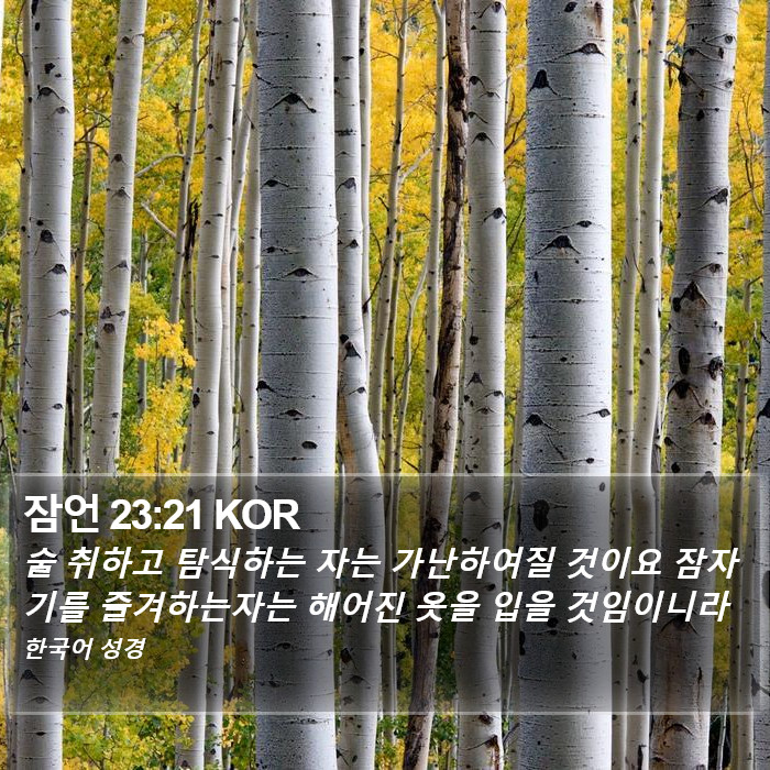 잠언 23:21 KOR Bible Study