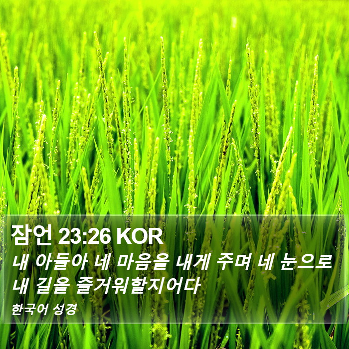 잠언 23:26 KOR Bible Study