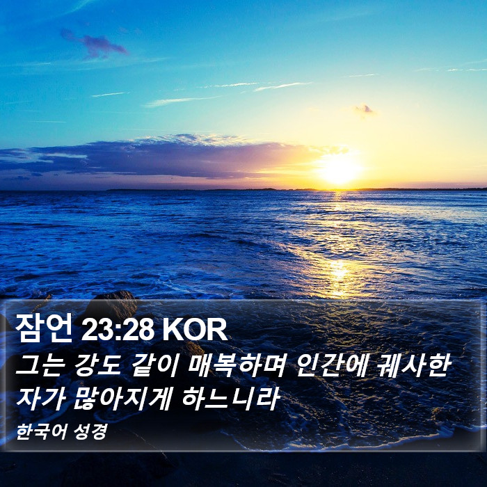 잠언 23:28 KOR Bible Study