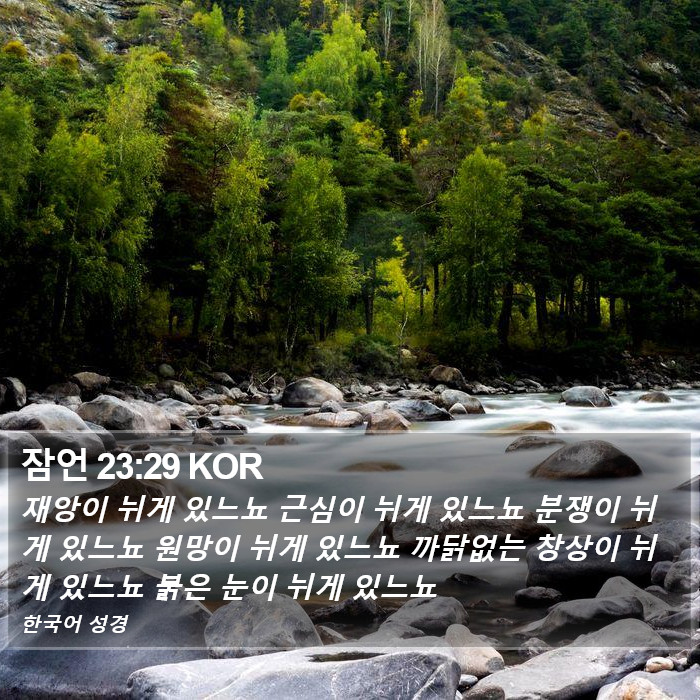 잠언 23:29 KOR Bible Study