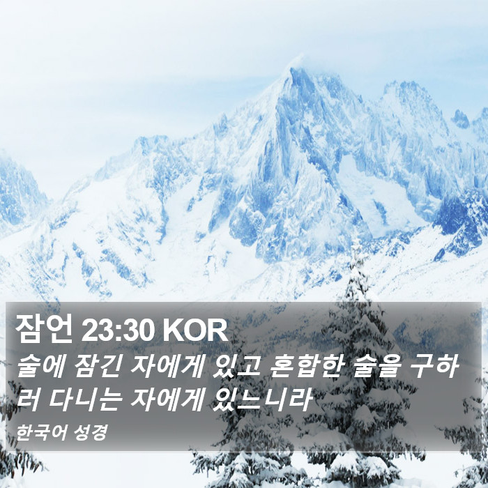 잠언 23:30 KOR Bible Study
