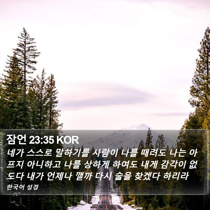 잠언 23:35 KOR Bible Study