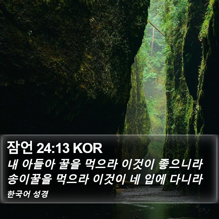 잠언 24:13 KOR Bible Study