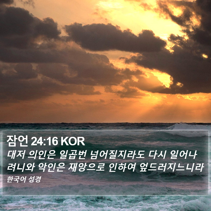 잠언 24:16 KOR Bible Study