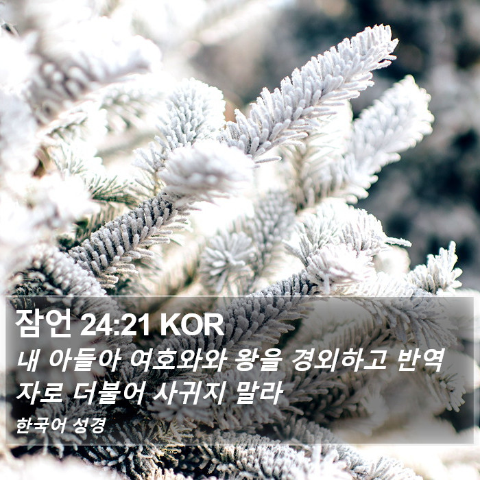 잠언 24:21 KOR Bible Study