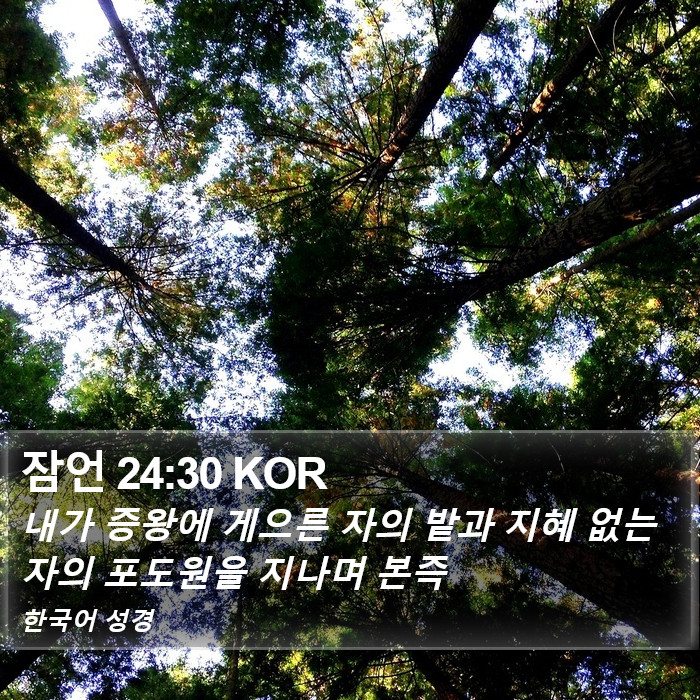 잠언 24:30 KOR Bible Study