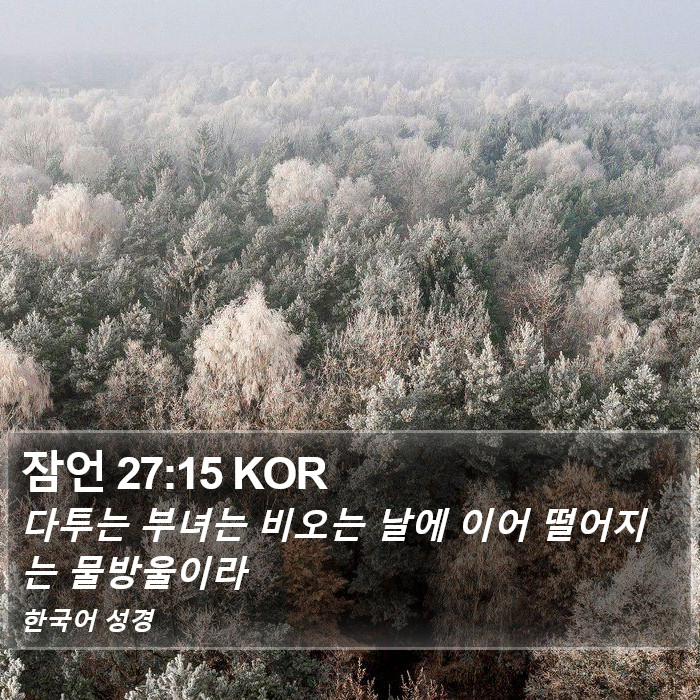 잠언 27:15 KOR Bible Study
