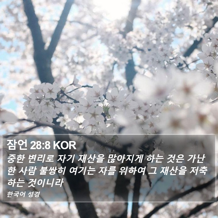 잠언 28:8 KOR Bible Study