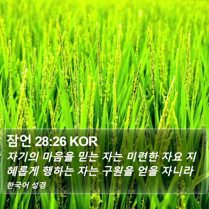잠언 28:26 KOR Bible Study